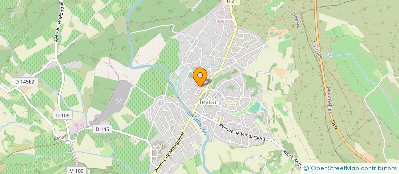 localisation de l'entreprise TEYRAN MULTISPORTS  TEYRAN