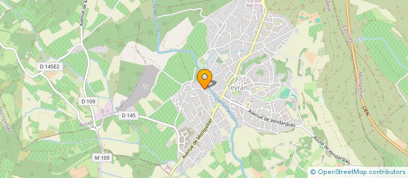 localisation de l'entreprise TEYRAN NOTRE VILLAGE  TEYRAN