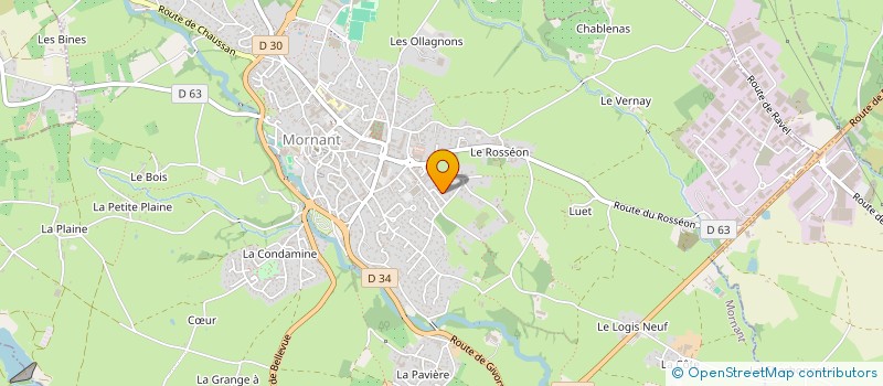 localisation de l'entreprise TFM  MORNANT