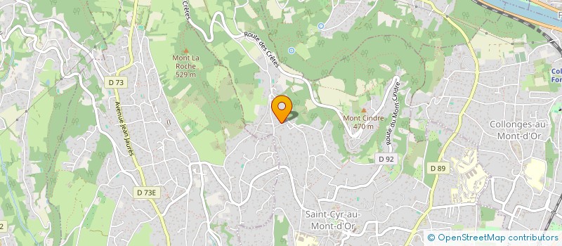 localisation de l'entreprise TG 3 AVENUE FOCH  SAINT-CYR-AU-MONT-D'OR