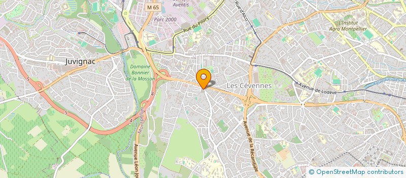 localisation de l'entreprise THALIES CONSULTANTS SCOP à MONTPELLIER