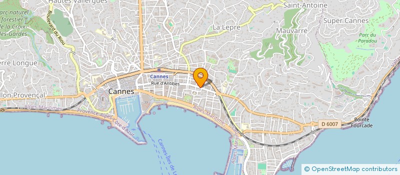 localisation de l'entreprise THAPON  CANNES
