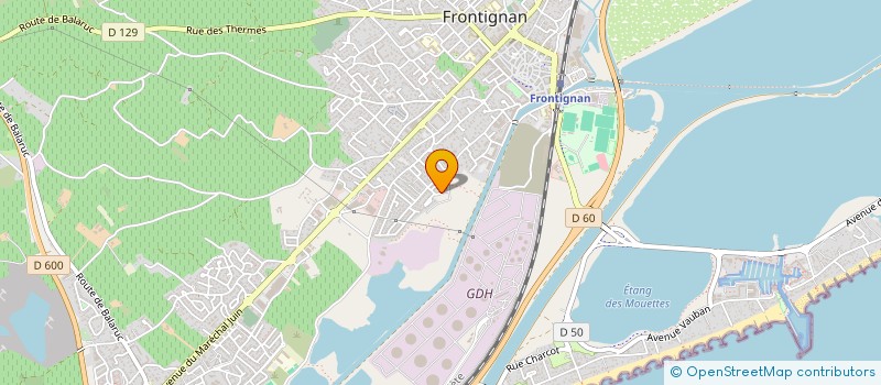 localisation de l'entreprise THAU NAUTIC SERVICES  FRONTIGNAN