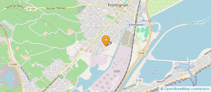 localisation de l'entreprise THAU SERVICES à FRONTIGNAN