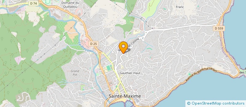 localisation de l'entreprise THE A TEAM à SAINTE-MAXIME