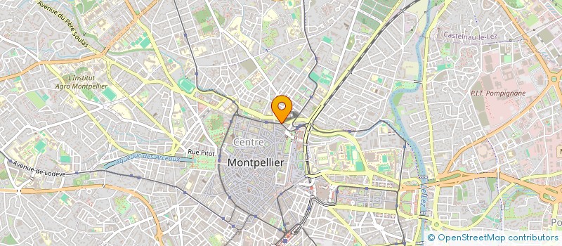 localisation de l'entreprise THE BLACK SHEEP à MONTPELLIER