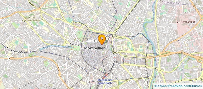 localisation de l'entreprise THE BLUE CHILD OF DAHOMEY à MONTPELLIER
