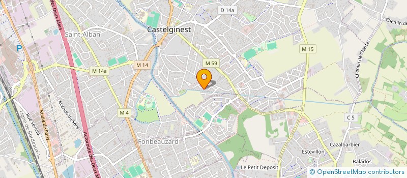 localisation de l'entreprise THE CHATON'S  CASTELGINEST