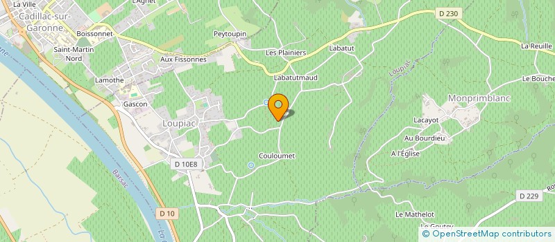 localisation de l'entreprise THE EQUINE SANCTUARY FOR HORSES & PONIES  LOUPIAC