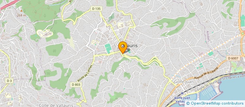 localisation de l'entreprise THE FIRST à VALLAURIS