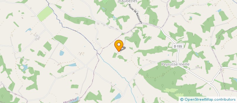 localisation de l'entreprise THE FLYING DUCKS  PEYRUSSE-VIEILLE