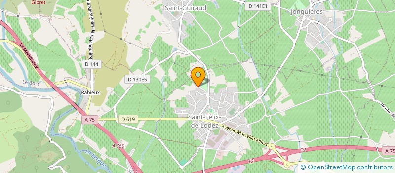 localisation de l'entreprise THE FRENCH ACCOUNTANT  SAINT-FELIX-DE-LODEZ