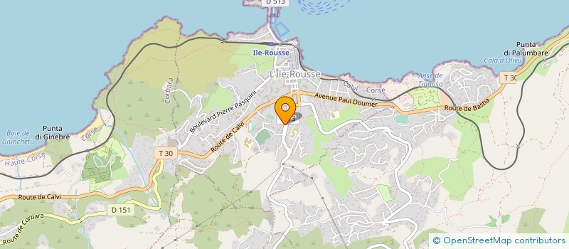 localisation de l'entreprise THE GOOD ANSWER TO FACE TASKS WITH HELPFUL ADVISORS, & ALL NEEDS FOR OPERATIONS WITH IMPROVED RESULT à L'ILE-ROUSSE