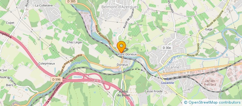 localisation de l'entreprise THE GREEN FLOWER  BELMONT-D'AZERGUES