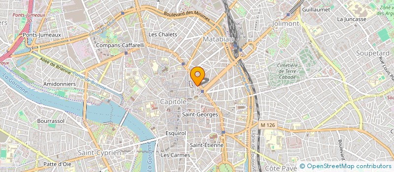 localisation de l'entreprise THE GREEN TIGER  TOULOUSE