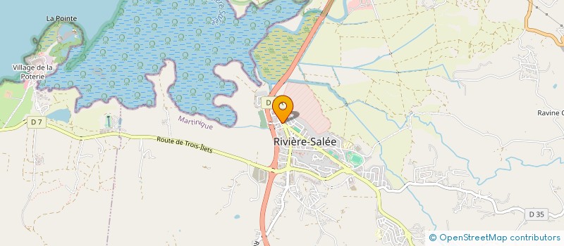 localisation de l'entreprise THE HEAD SPA CHRYS M AU NATUREL  RIVIERE SALEE