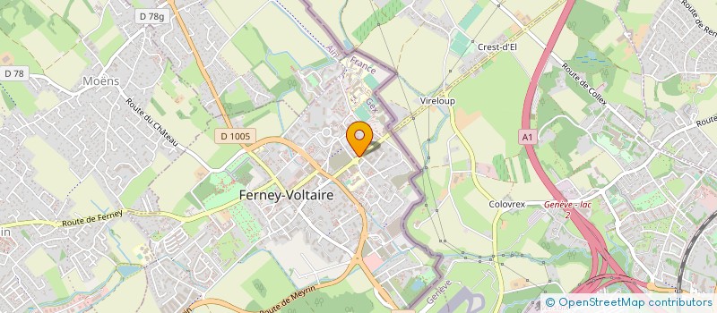 localisation de l'entreprise THE LANGUAGE CENTER à FERNEY-VOLTAIRE