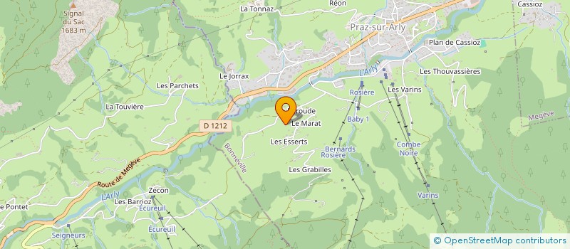 localisation de l'entreprise THE MAN FRANCE  PRAZ-SUR-ARLY