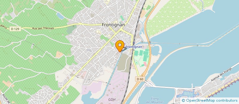 localisation de l'entreprise THE MUSCADINES à FRONTIGNAN