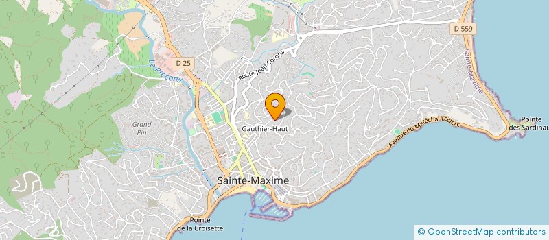 localisation de l'entreprise THE OLDTRACKS à SAINTE-MAXIME