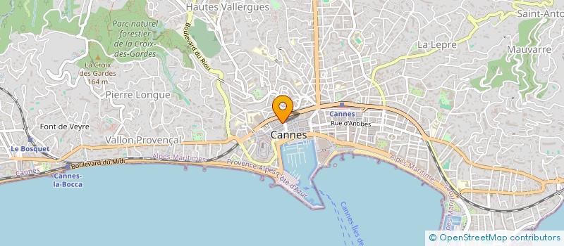 localisation de l'entreprise THE OU CAFE  LE CANNET