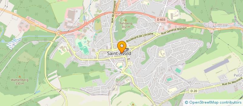 localisation de l'entreprise THE PASTA LOUNGE  SAINT-AVOLD