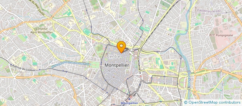 localisation de l'entreprise THE PINEAPPLE COMPANY à MONTPELLIER
