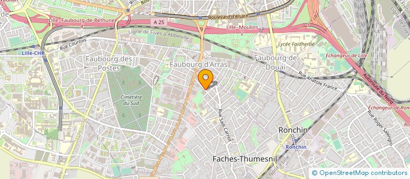 localisation de l'entreprise THE PINK BOAT  FACHES-THUMESNIL