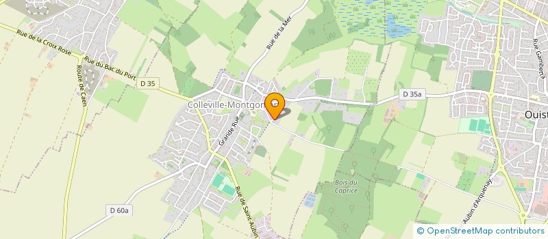 localisation de l'entreprise THE RAGS  COLLEVILLE-MONTGOMERY