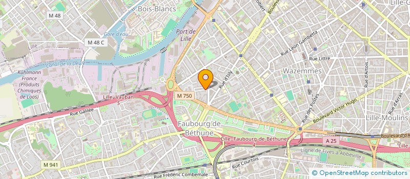 localisation de l'entreprise THE RING.IO  LILLE