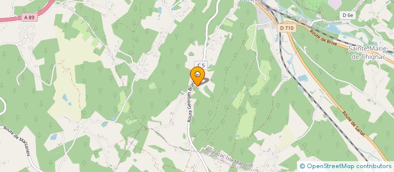 localisation de l'entreprise THE SPEEDY TURTLES  BOULAZAC ISLE MANOIRE