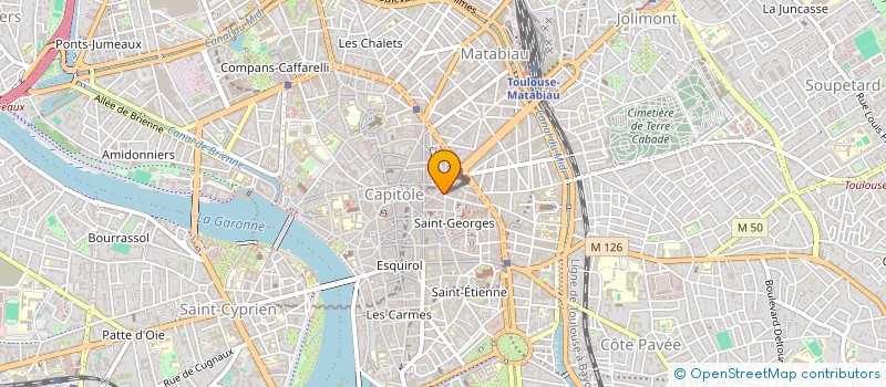 localisation de l'entreprise THE VIRTUAL PROJECT  TOULOUSE