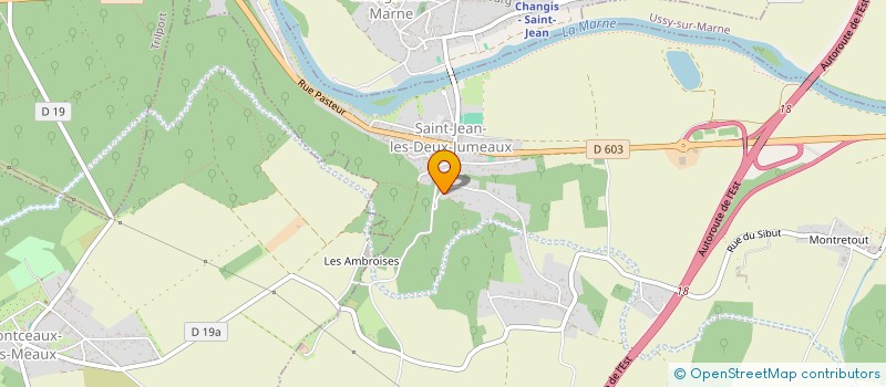 localisation de l'entreprise THE WULONG CONNECTION  SAINT-JEAN-LES-DEUX-JUMEAUX