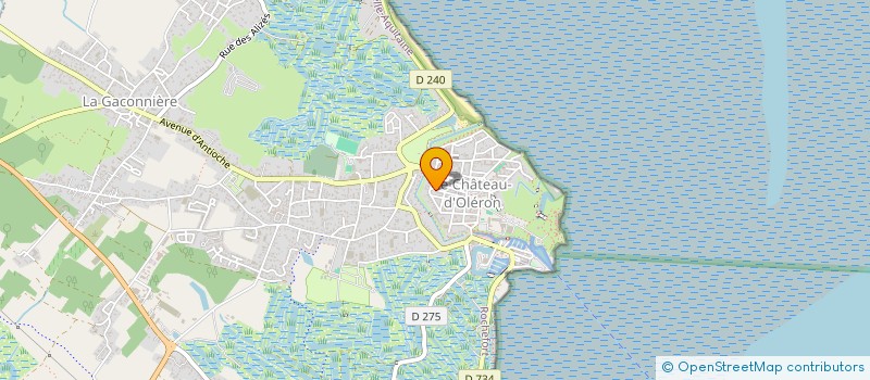 localisation de l'entreprise THEATR'IO  LE CHATEAU-D'OLERON