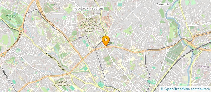 localisation de l'entreprise THEATRE MARJONNETTE à MONTPELLIER