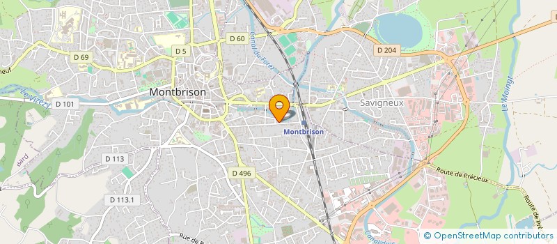 localisation de l'entreprise THEBO  MONTBRISON