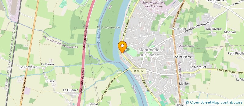 localisation de l'entreprise THEDAMISE  MONTMERLE-SUR-SAONE