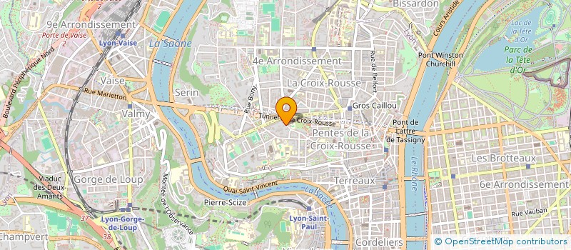 localisation de l'entreprise THELESYS à LYON