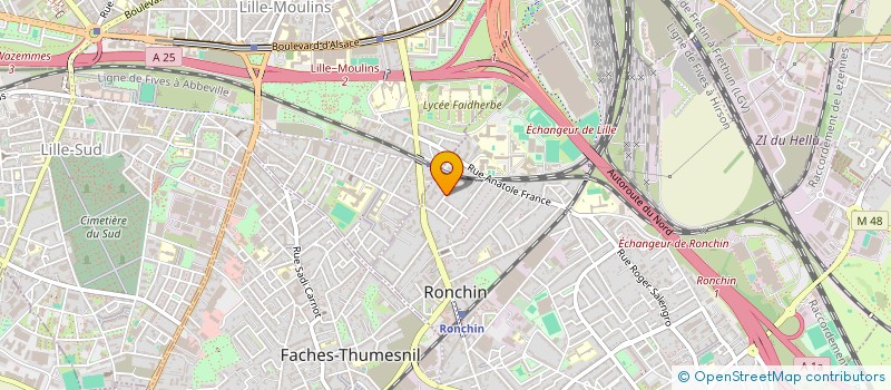 localisation de l'entreprise THEMA  RONCHIN