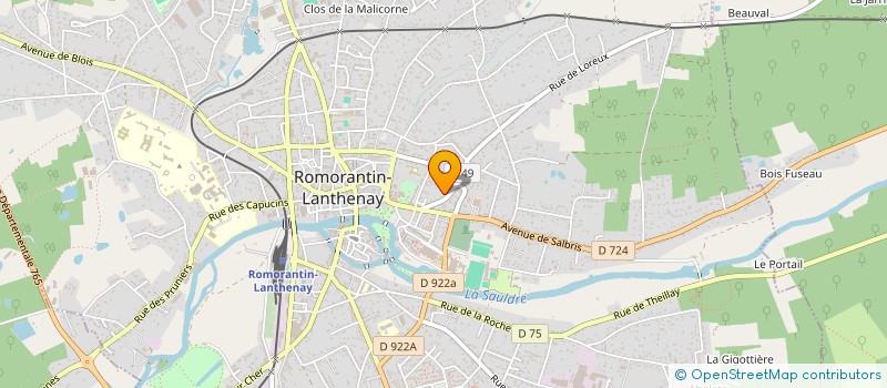 localisation de l'entreprise THEMALSA  ROMORANTIN-LANTHENAY