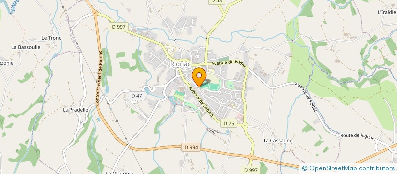 localisation de l'entreprise THEMINES FRERES  RIGNAC