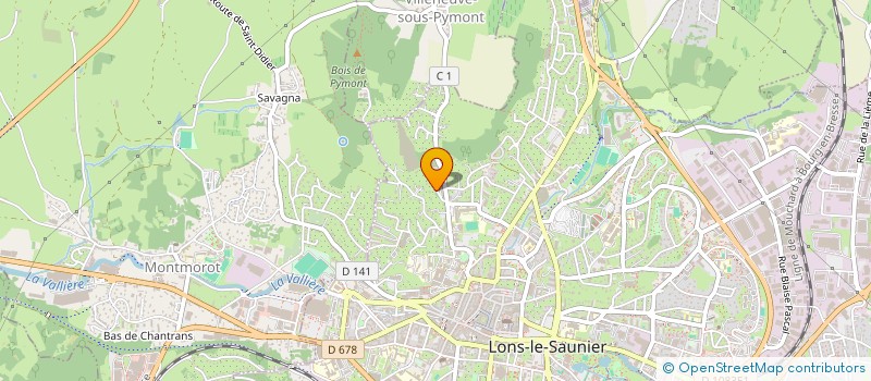 localisation de l'entreprise THEMIS  LONS-LE-SAUNIER