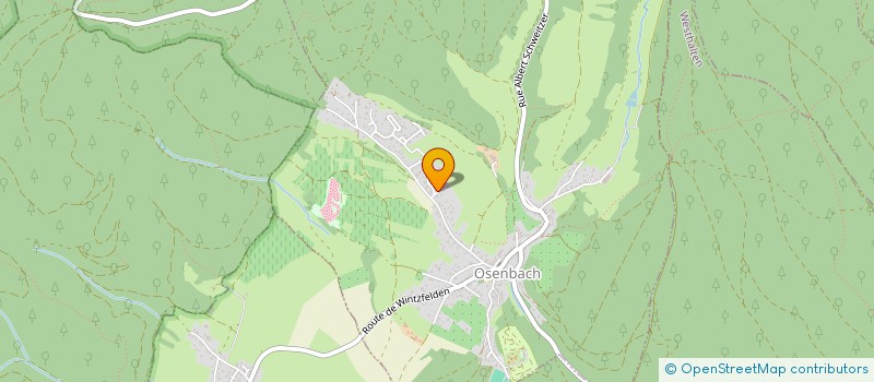 localisation de l'entreprise THEMIS IMMOBILIER  OSENBACH