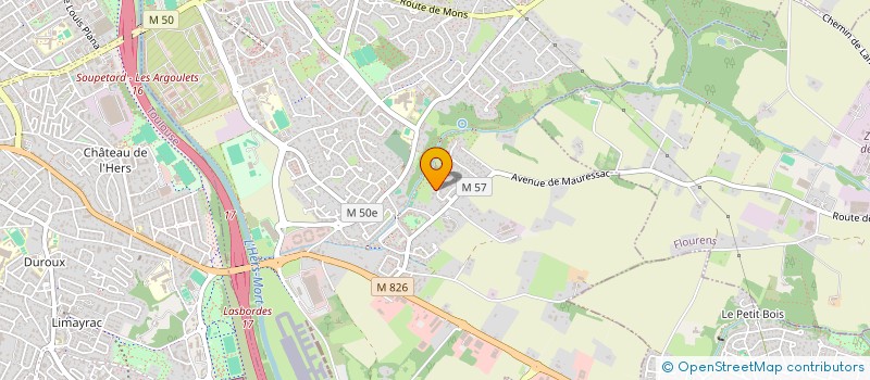 localisation de l'entreprise THEO COACHING COMPANY  BALMA