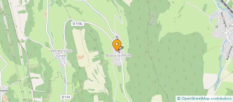 localisation de l'entreprise THEO ET LOU-ANN  BUSSY-LA-PESLE