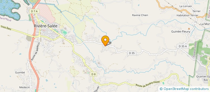 localisation de l'entreprise THEOBAT  RIVIERE-SALEE