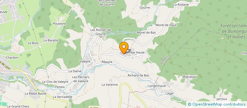 localisation de l'entreprise THEODOROS  AMBERT