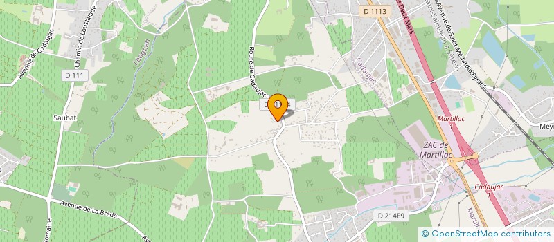 localisation de l'entreprise THEOMAX  MARTILLAC