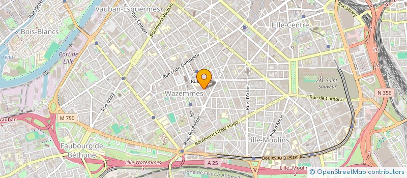 localisation de l'entreprise THEORO PIERRE à LILLE