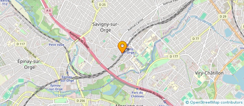 localisation de l'entreprise THESAURUS à SAVIGNY-SUR-ORGE